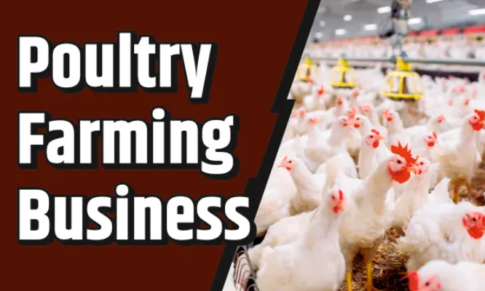 Webinar on Poultry Farming Business