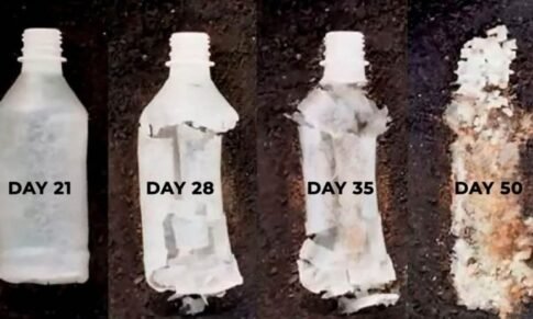 DRDO’s DFRL Introduces Innovative Biodegradable Water Bottles to Combat Plastic Pollution