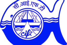 Walk In Interview, Project Associate – Central Institute of Fisheries Technology (ICAR-CIFT)