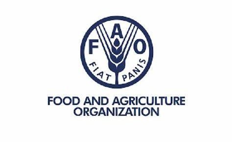 Food Safety and Food Control specialist – Food and Agriculture Organization (FAO)