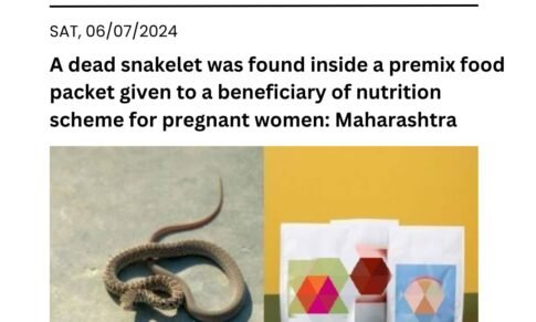 Maharashtra: A dead snakelet was found inside a premix food packet given to a beneficiary of nutrition scheme for pregnant women