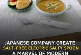 Japanese company create salt free electric salty spoon, a marvel of modern food technology