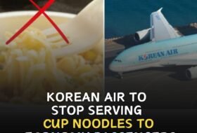 Korean Air to stop serving cup noodles to economy passengers