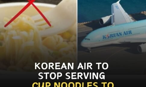 Korean Air to stop serving cup noodles to economy passengers