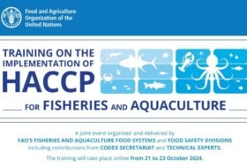 Free Training on the implementation of HACCP for fisheries and aquaculture 