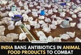 India Bans Antibiotics in Animal Food Products to Combat Antimicrobial Resistance