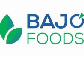 QA Fresher/Junior Quality Assurance Specialist – Bajo Foods