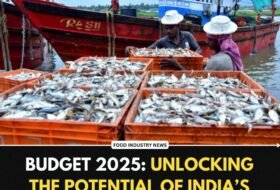 Budget 2025: Unlocking the Potential of India’s Fisheries Sector