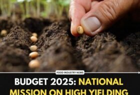 Budget 2025: National Mission on High Yielding Seeds