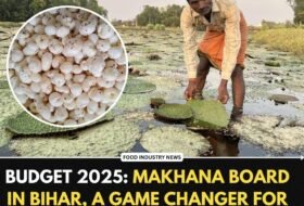 Budget 2025: Makhana Board in Bihar, significant step in boosting its agricultural economy