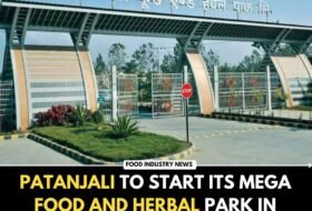 Patanjali to Start its Mega Food and Herbal Park in Greater Noida YEIDA