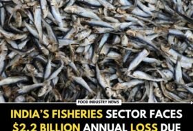 India’s Fisheries Sector Faces $2.2 Billion Annual Loss Due to Water Pollution