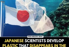 Japanese Scientists Develop Plastic that Disappears in the Ocean within One Hour