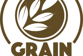 Assistant General Manager – Grain n Grace Food Ingredients Manufacturing Pvt Ltd